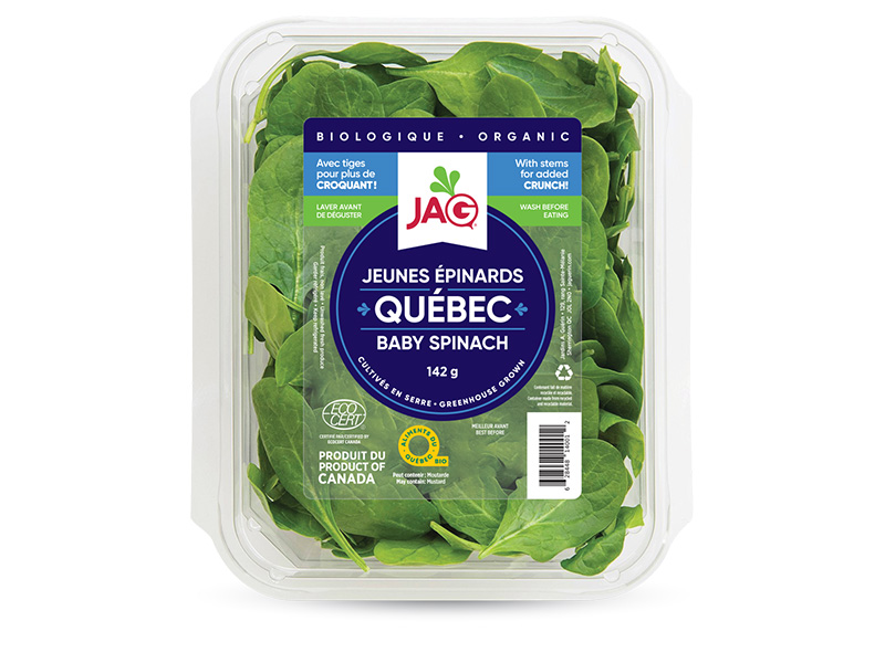 Jeunes épinards biologique