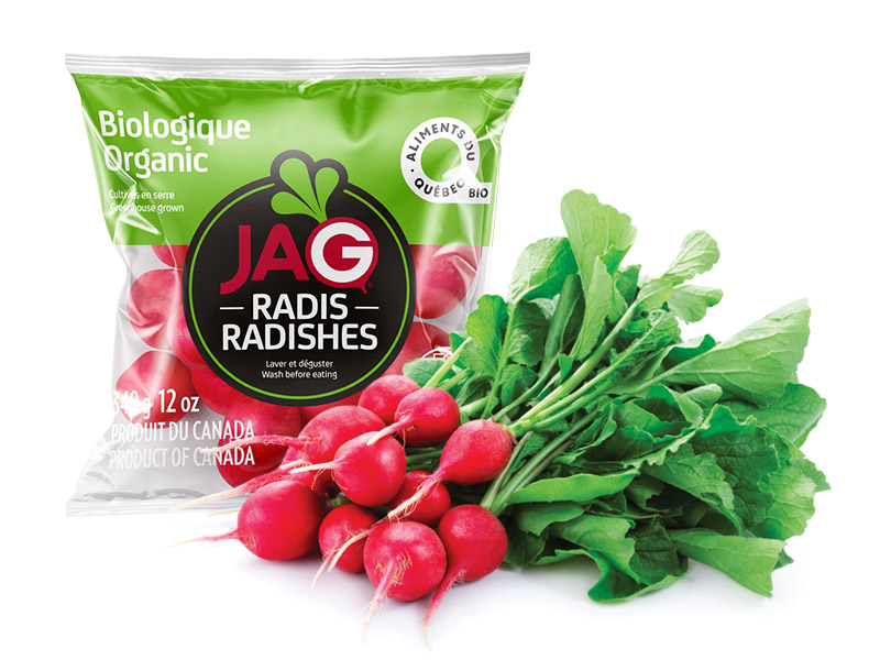 Radis biologique